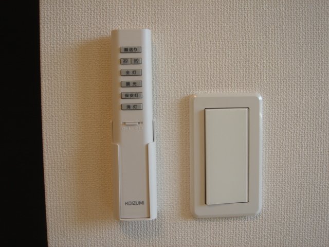 セルリアン その他13