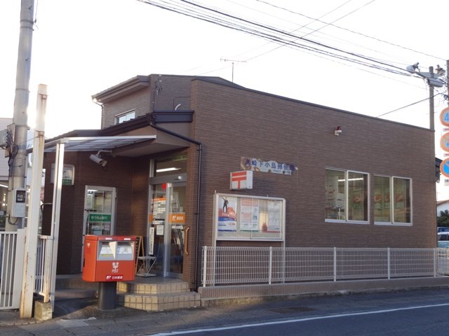 セルリアン その他15