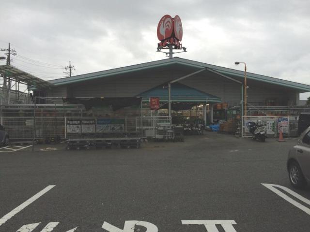 ピパトール その他外観6