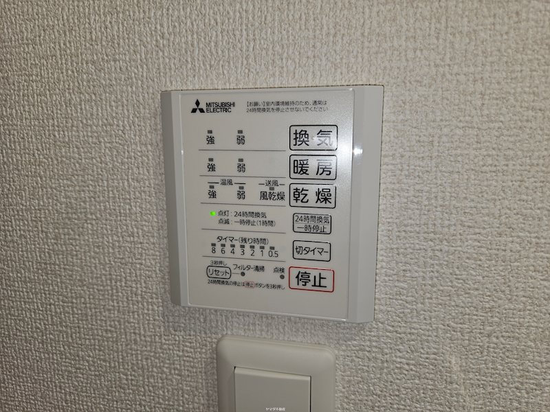 アナベル３ その他5
