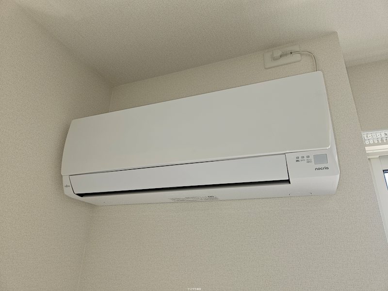 アナベル３ その他6