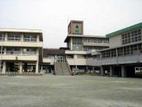 その他15