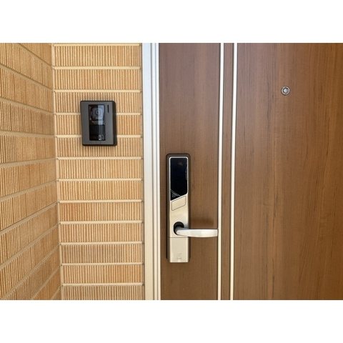 ANIMAL KINGDAM その他6