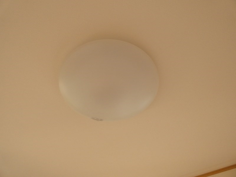 ホワイトコートミオナ その他10