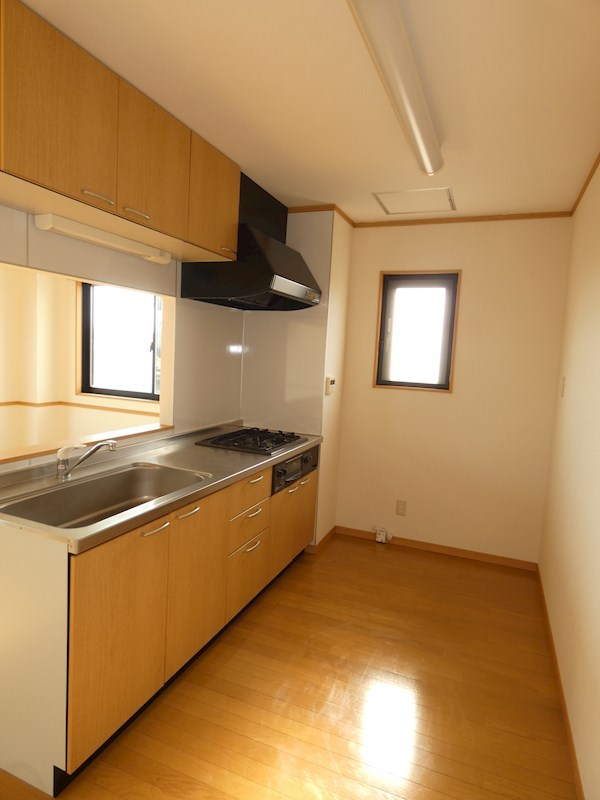 グリーンパークAya キッチン