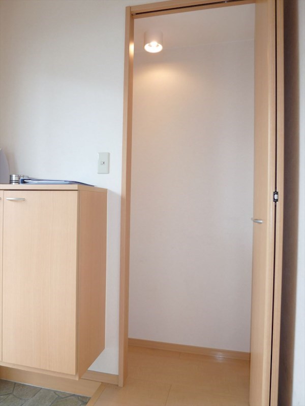 フィーノA その他4