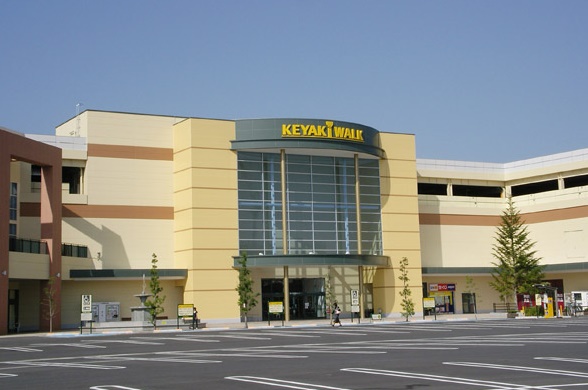 フェリオ文京２ 周辺画像5