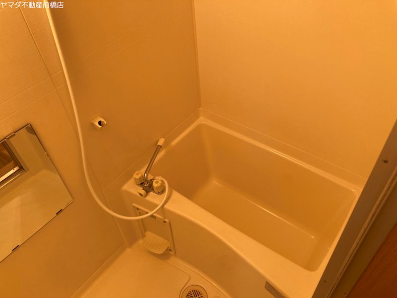 ハイブリッジA 風呂画像