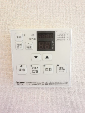 ルビーA  その他6