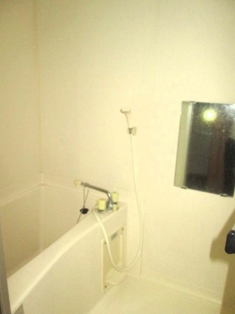 ハイブリッジA 風呂画像