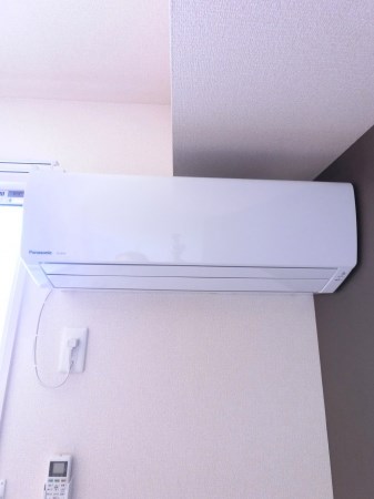 ウィステリアイズミ その他5