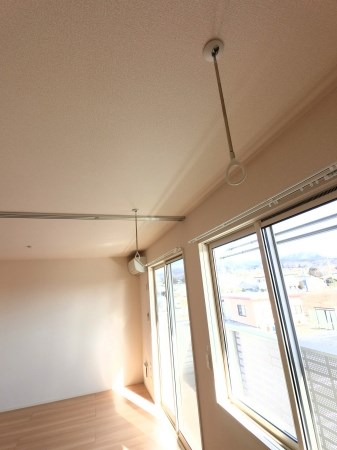 ウィステリアイズミ その他6