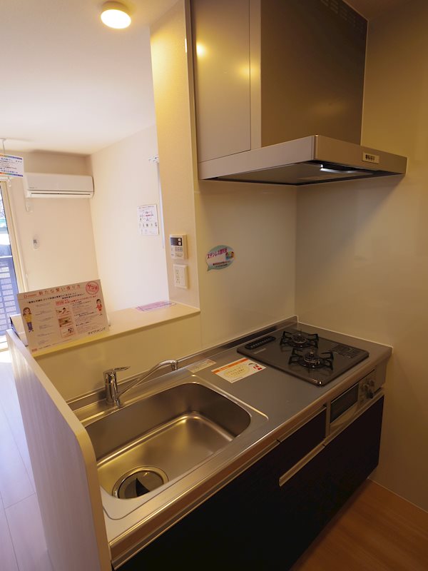 ISHIKAWA HILLS Ⅶ  キッチン