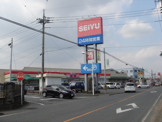 ラナ その他外観3