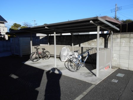 ソナ・ヴェルデ その他3