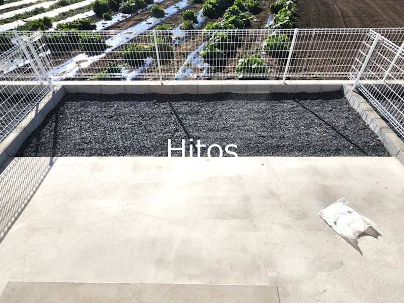 Foliar  San　(フォーリア　サン) その他9