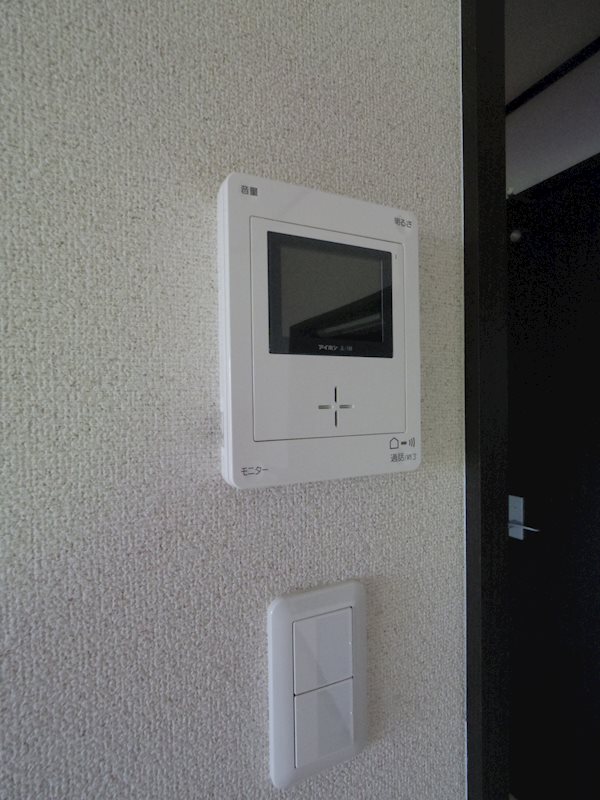 カルミア その他1