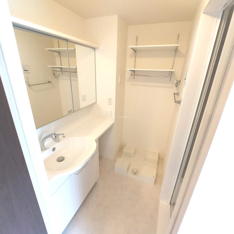 カーサカメリア その他1