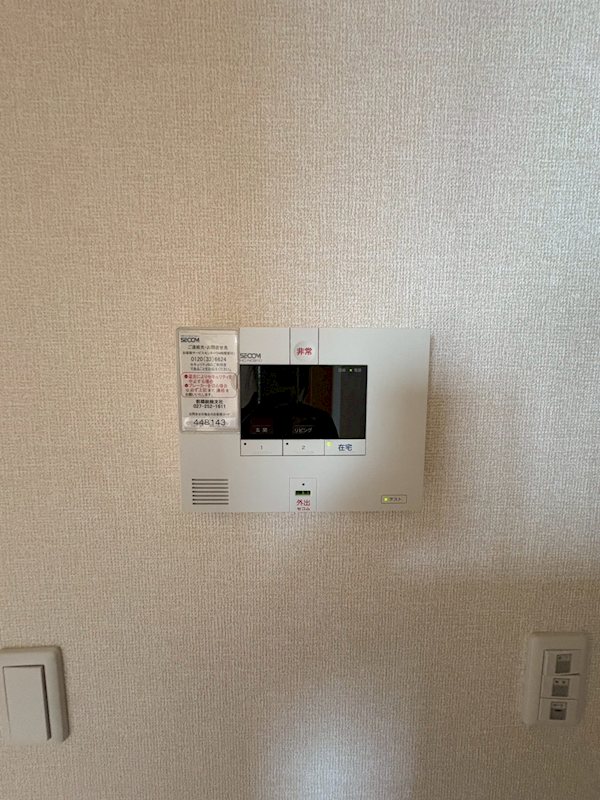 ルビーA  その他6