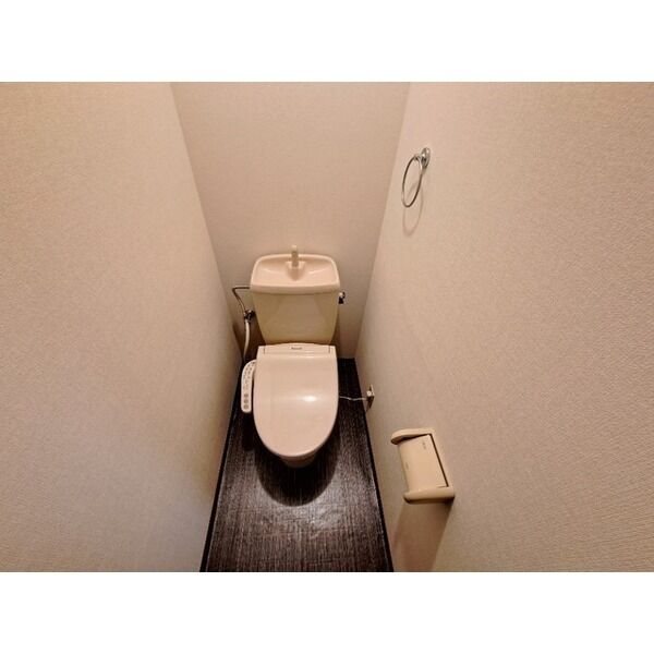 スワンC その他3