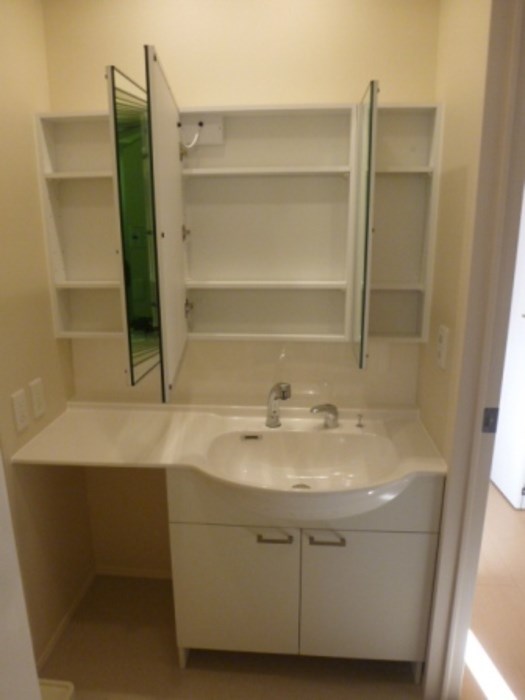 プラシードⅡ その他1