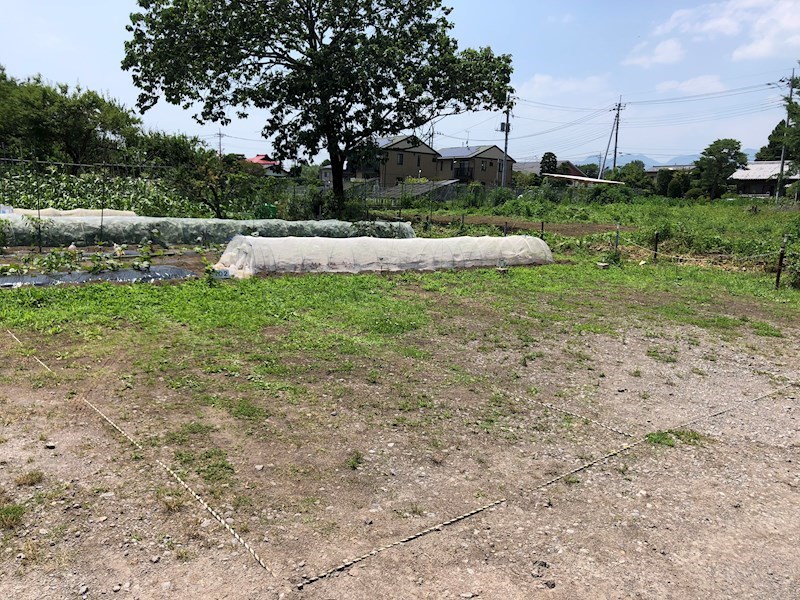 プライムハイツ その他外観1