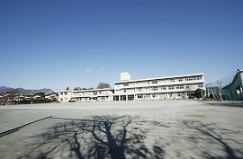 柳沢ハイツ 周辺画像5