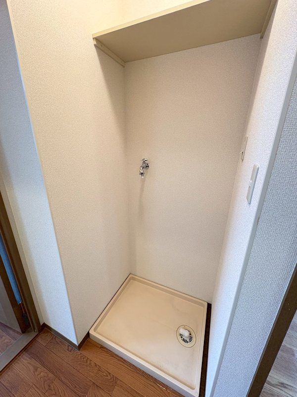 ハイネス林 その他8