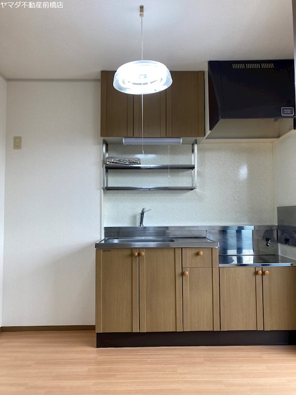 ハイネス林 その他9