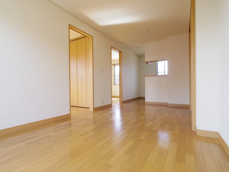 レトアフリーゼ その他2