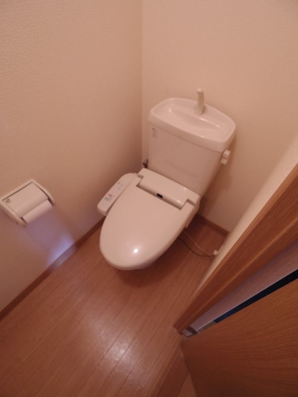 レトアフリーゼ その他3