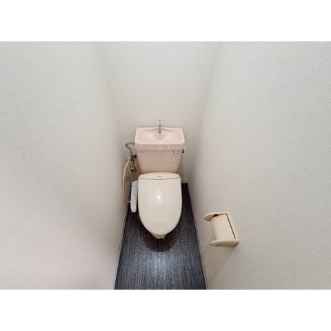 リトルバード その他2