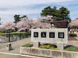 リトルバード 周辺画像5