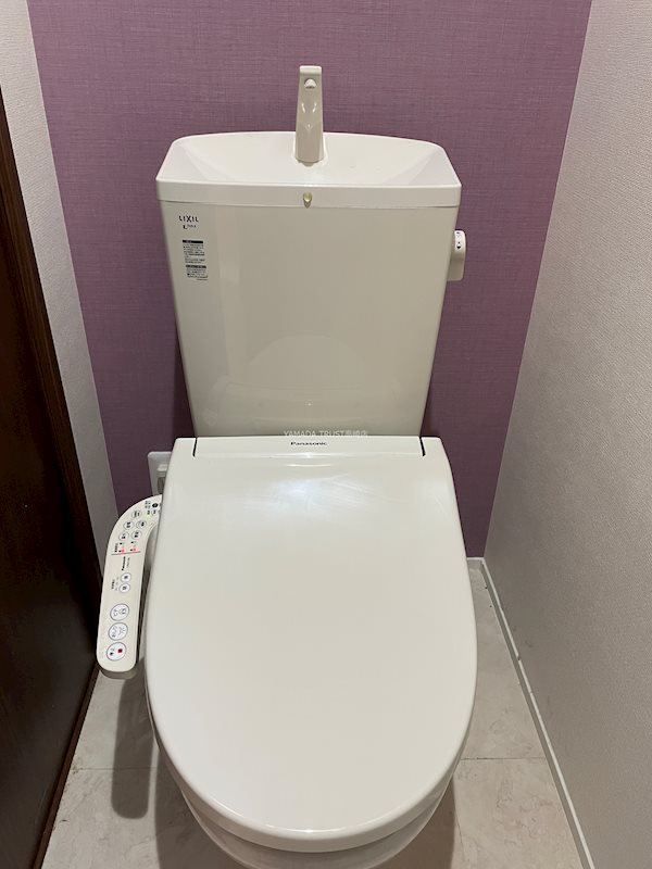 マデラシトリン その他5
