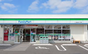 ファミールハイツ２ 周辺画像6