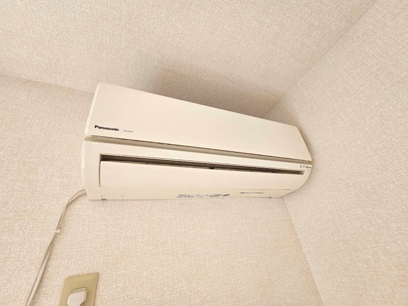 サンフラワー その他1