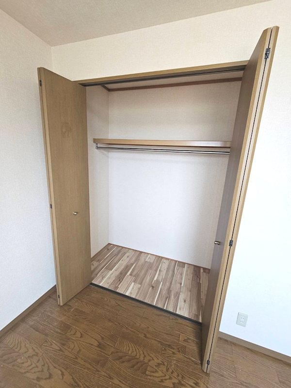 サンフラワー その他2