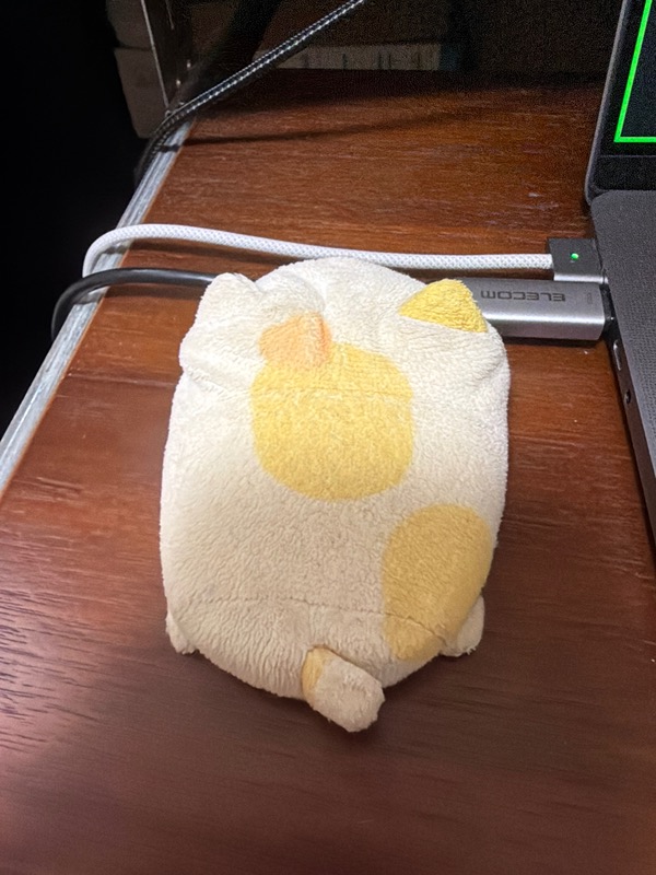 倉持テスト物件 トイレ
