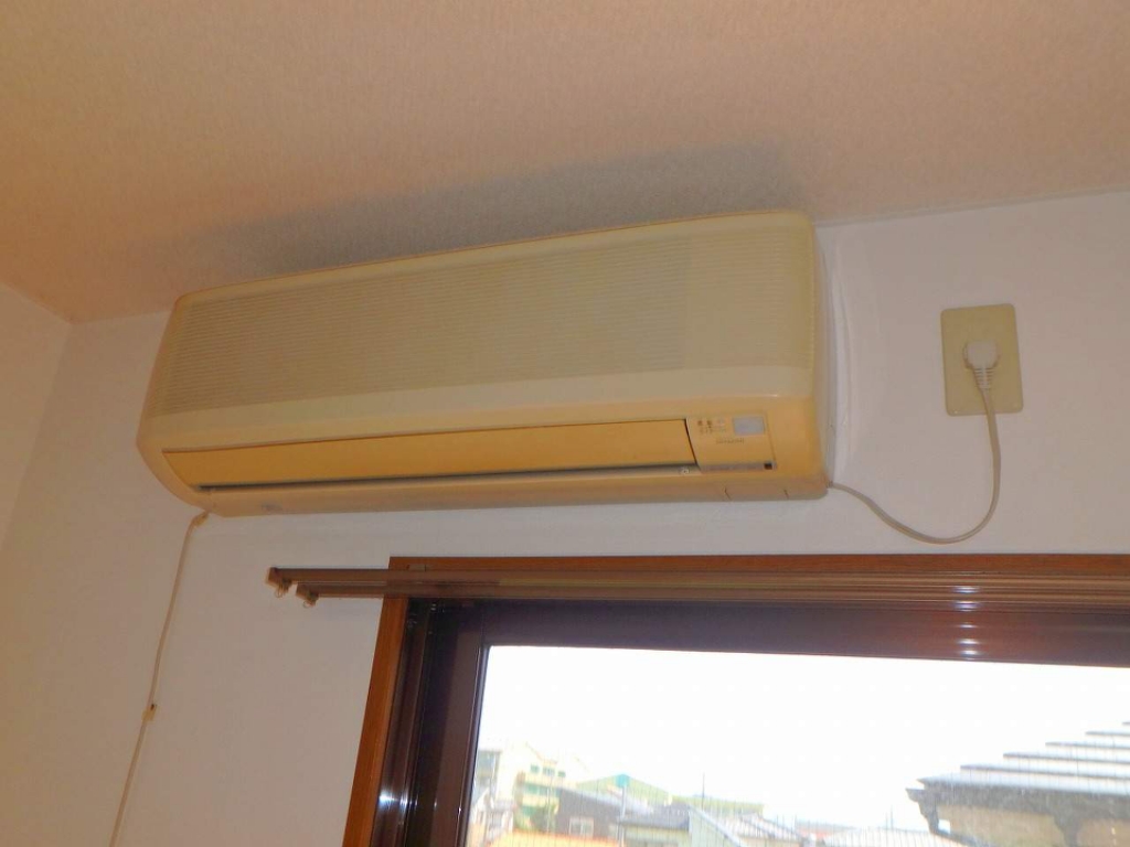 サンシャイン成長 その他
