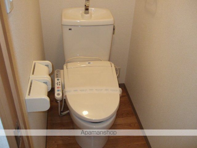 サンシャイン・コーダ その他