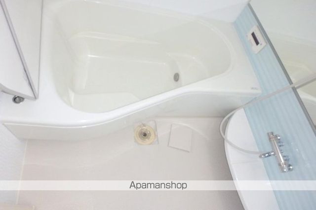 エヴァーグリーン その他