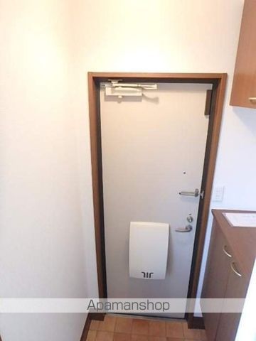 エヴァーグリーン その他
