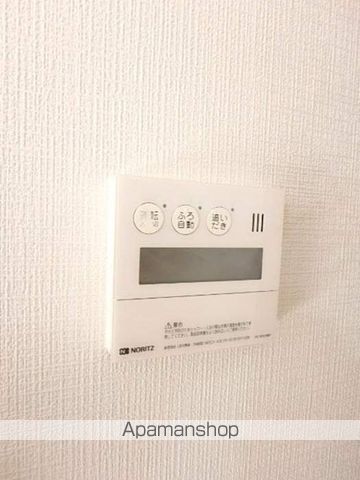 エヴァーグリーン その他