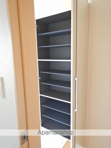 チェレステ　Ｂ その他