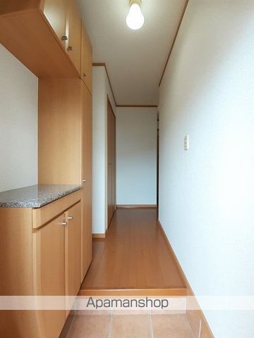 アンジェリカ　Ｃ その他