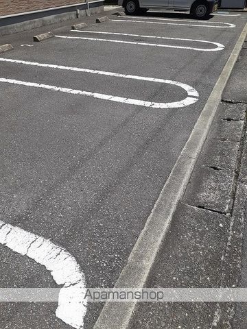 グリーンシトラス その他