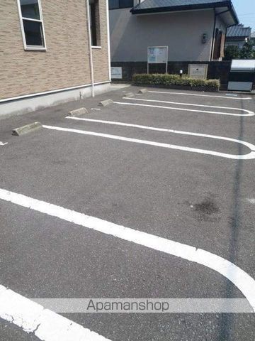 グリーンシトラス その他