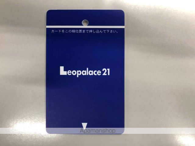 レオパレスユーカリ その他