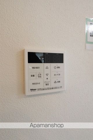 ベルティルミナス その他