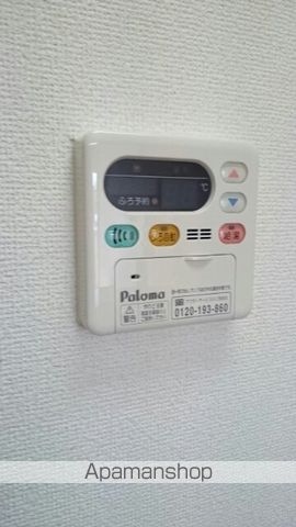 アンジェリカ　Ｃ その他